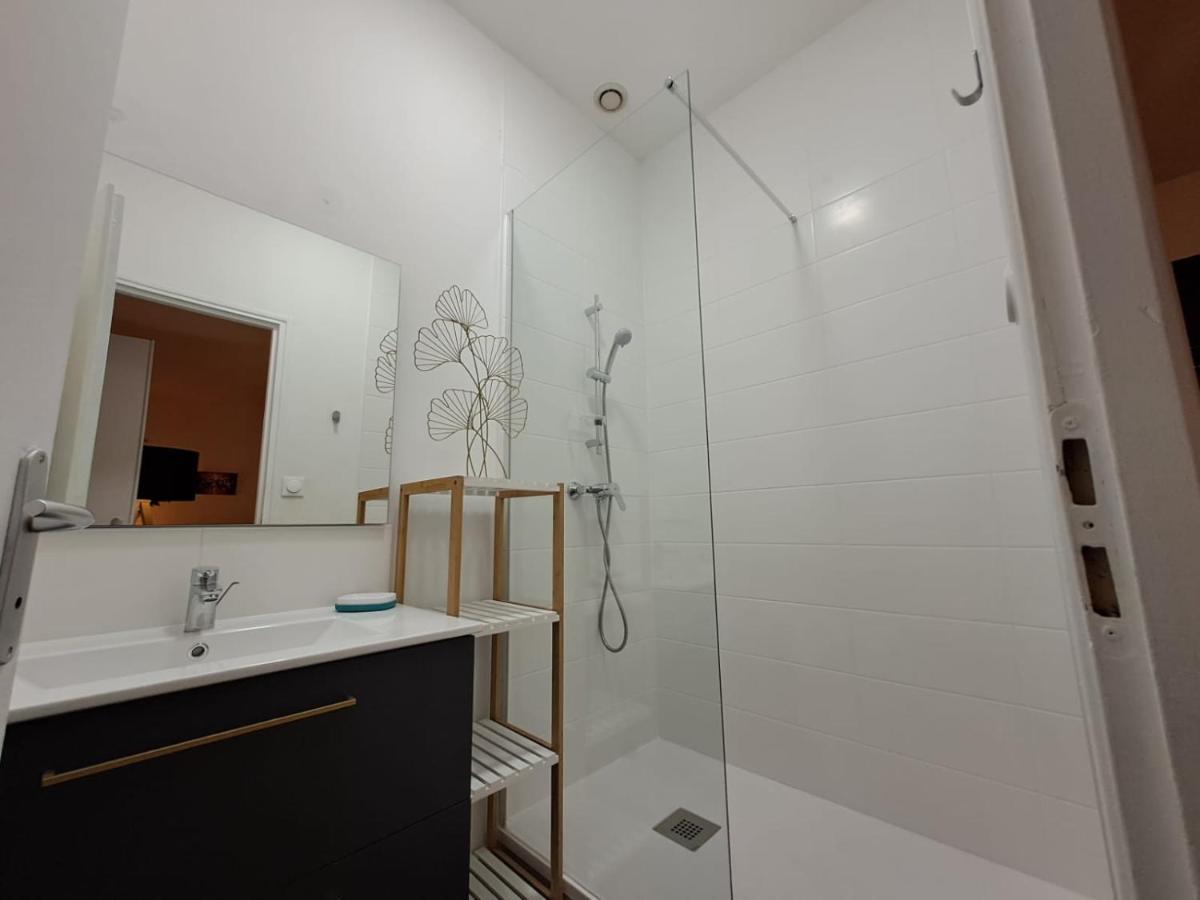 Le Saint Jean , Centre Historique, Wifi, Tout Equipe, Ideal Famille, Business, Ou Simple Escapade Niort Exterior foto